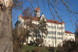Waldburg2
